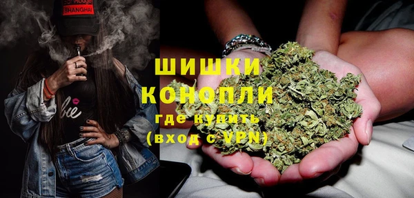 ГАЛЛЮЦИНОГЕННЫЕ ГРИБЫ Алексеевка